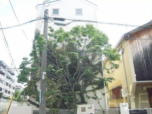 西側より