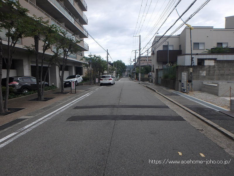 西側公道から北へ望む