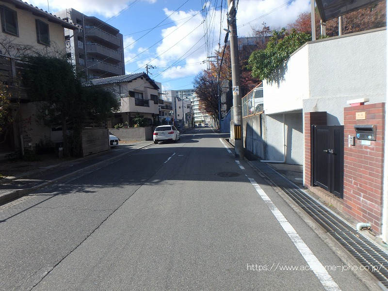 南側公道から西へ望む