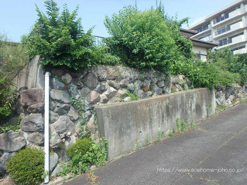 南東側より