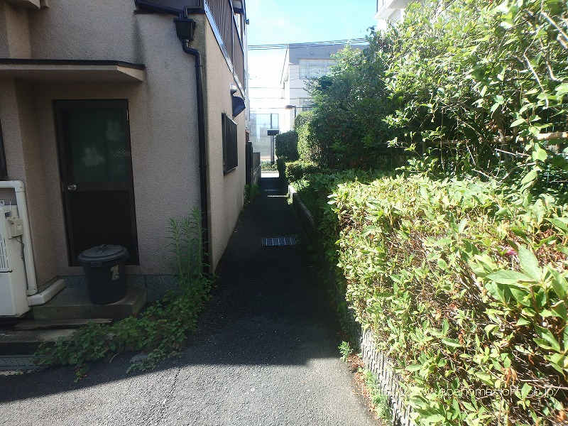 西側通路から南へ望む
