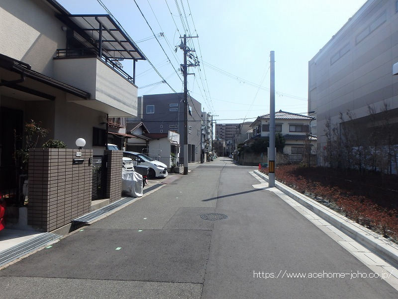 西側公道から南へ望む