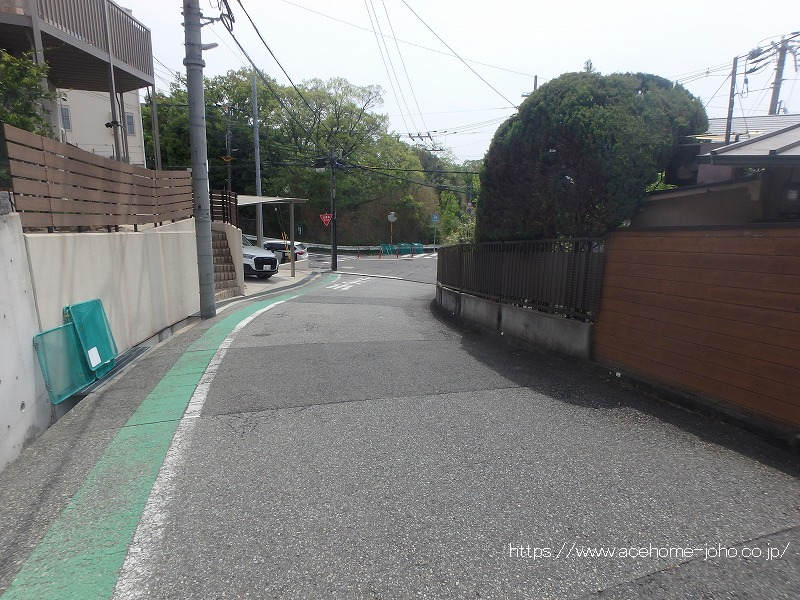 南西側公道から南東へ