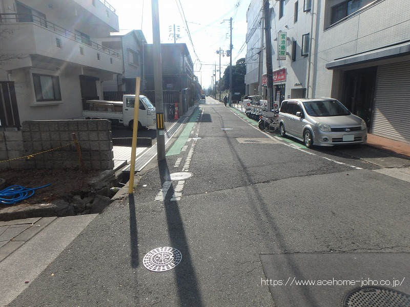 西側公道から南へ望む