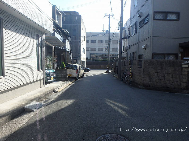 西側公道から南へ望む