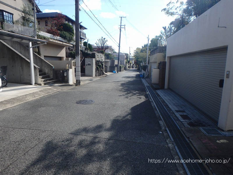 東側公道から南へ望む