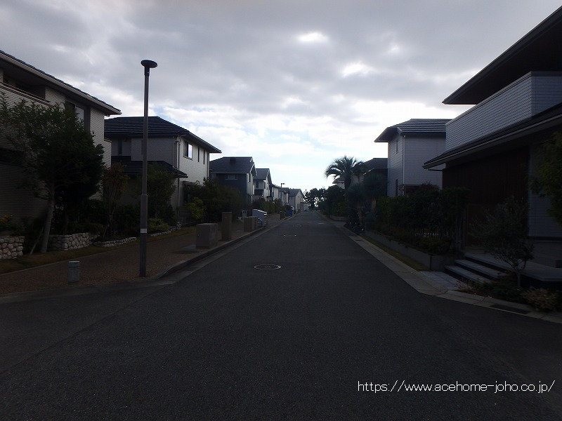 東側公道から南へ望む