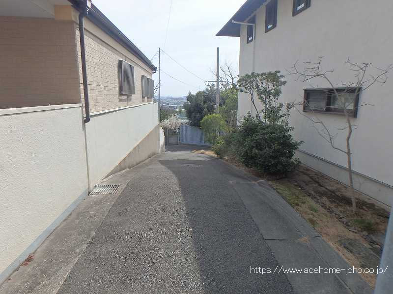 西側道路から南へ望む