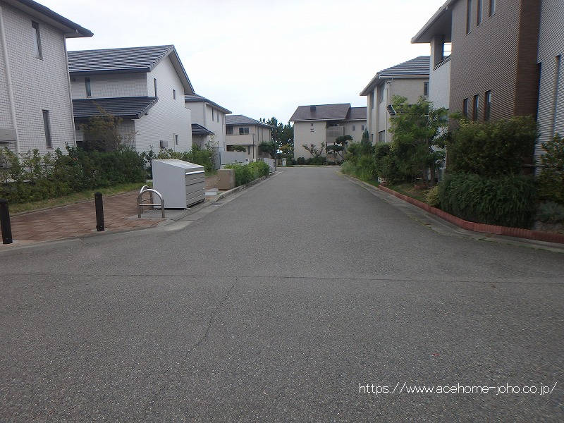 東側公道から南へ望む