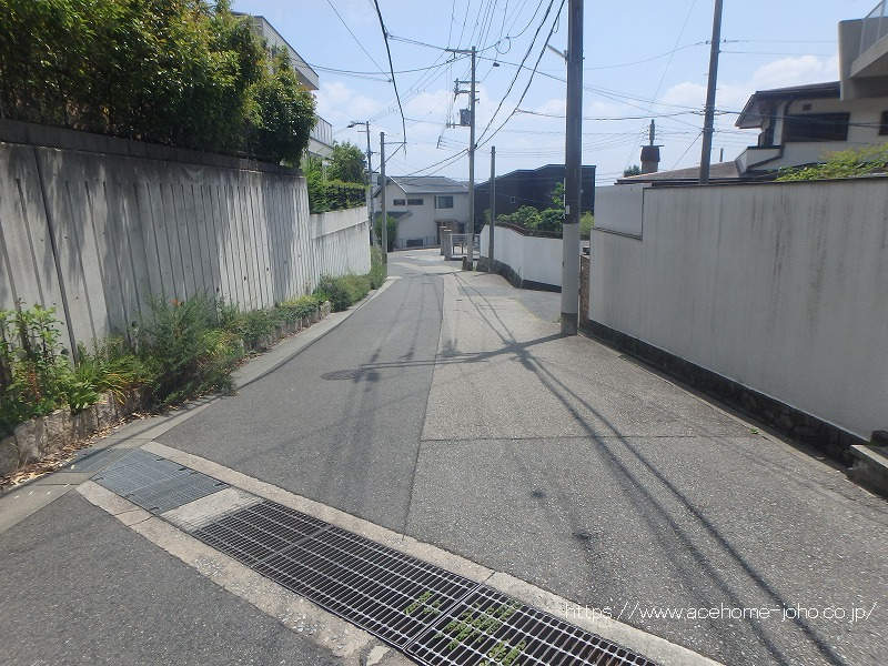 東側公道から南へ望む