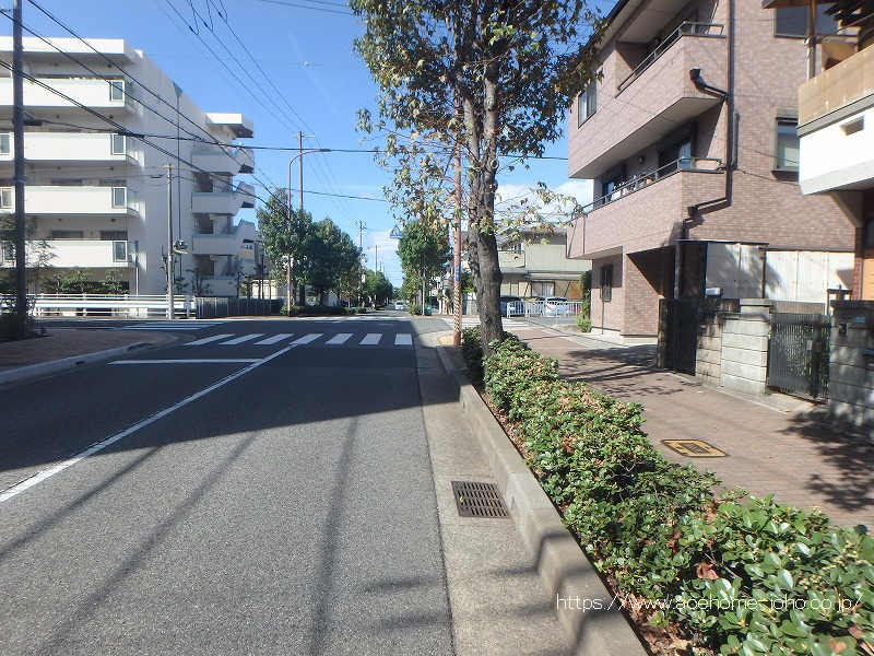 南側公道から西へ望む