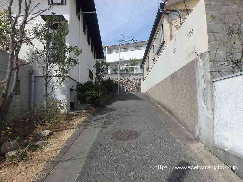 西側道路から北へ望む
