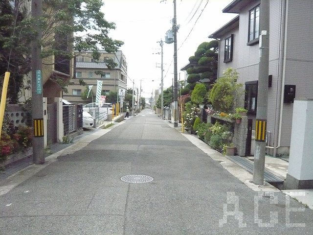 西側公道から南へ望む