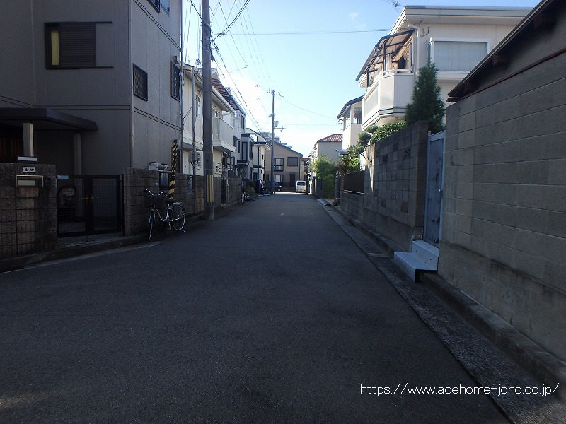 西側公道から西へ望む