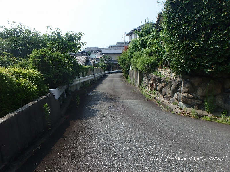 東側公道から南へ望む