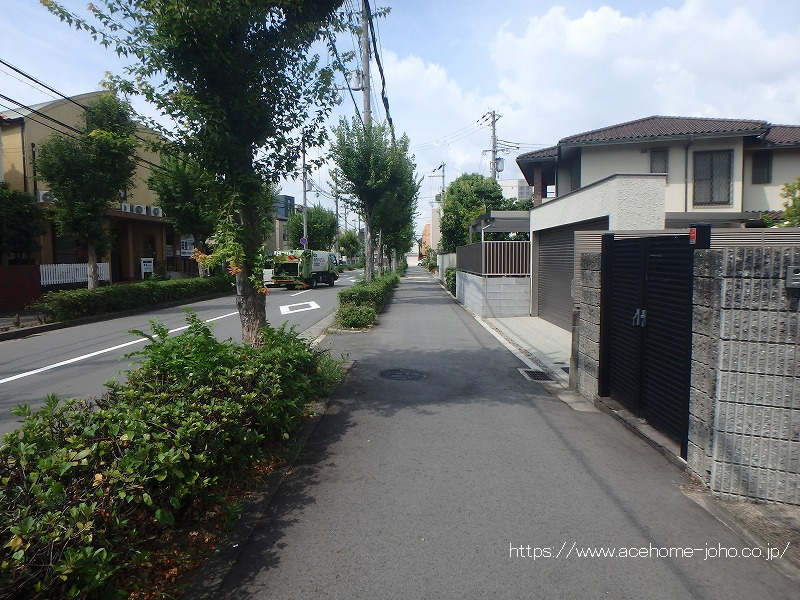 南側公道から西へ望む