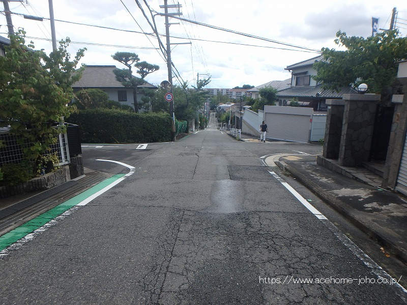 東側公道から南へ望む