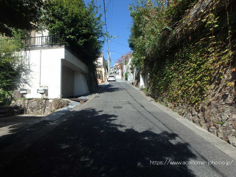 東側公道から北へ望む