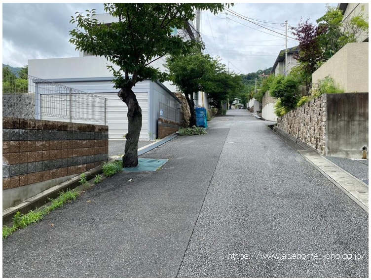 東側公道から北へ望む