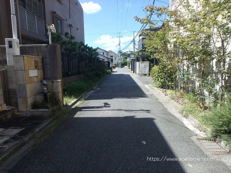 南側公道から東へ望む