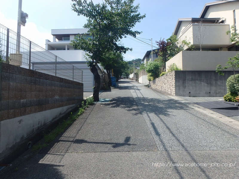 東側公道から北へ望む