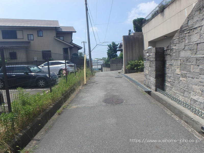 東側公道から南へ望む