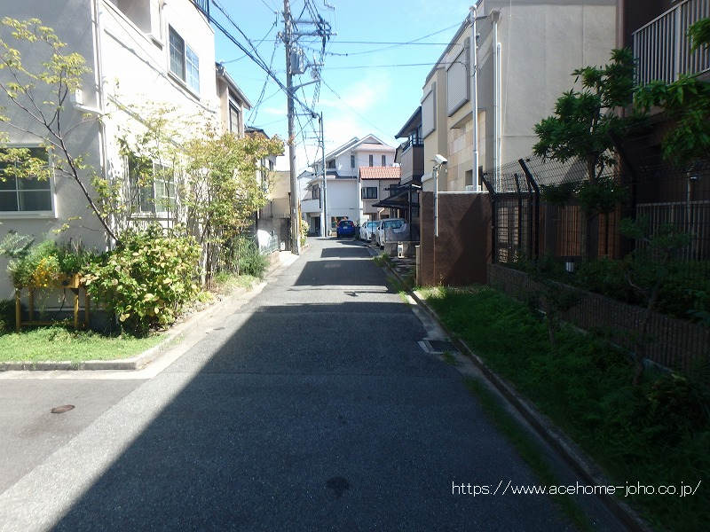 南側公道から西へ望む