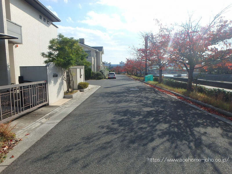 西側公道から南へ望む