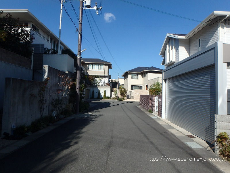 西側道路から北へ望む