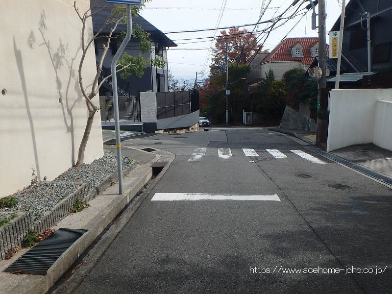 南西側公道から南東へ