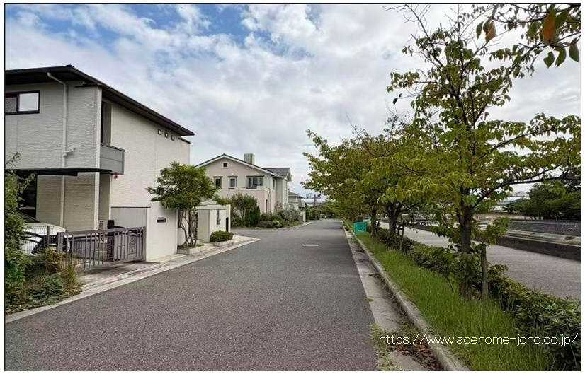 西側公道から南へ望む