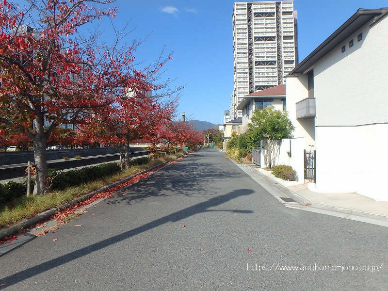 西側公道から北へ望む