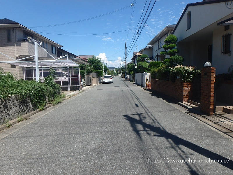 南側公道から東へ望む