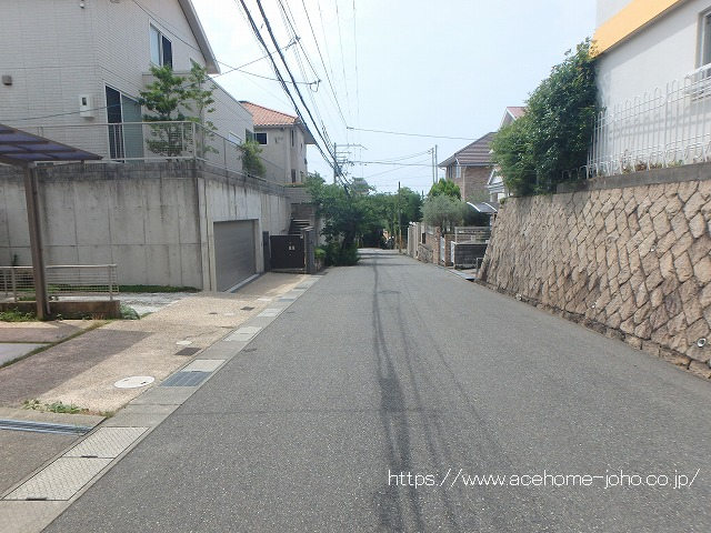 西側公道から南へ望む