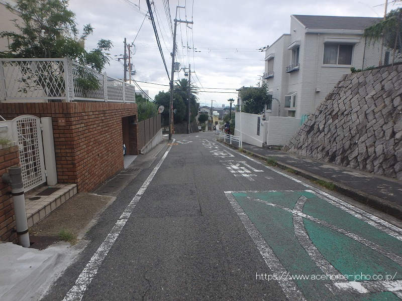西側公道から南へ望む