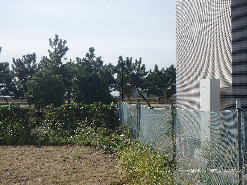 南側から海が見えます