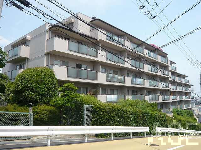 25407画像