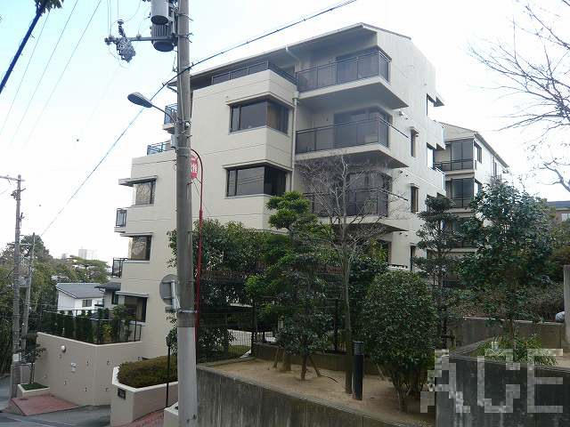 26058画像