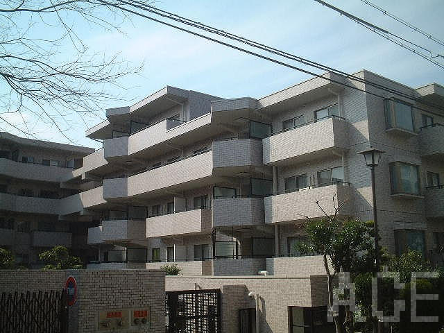 26564画像