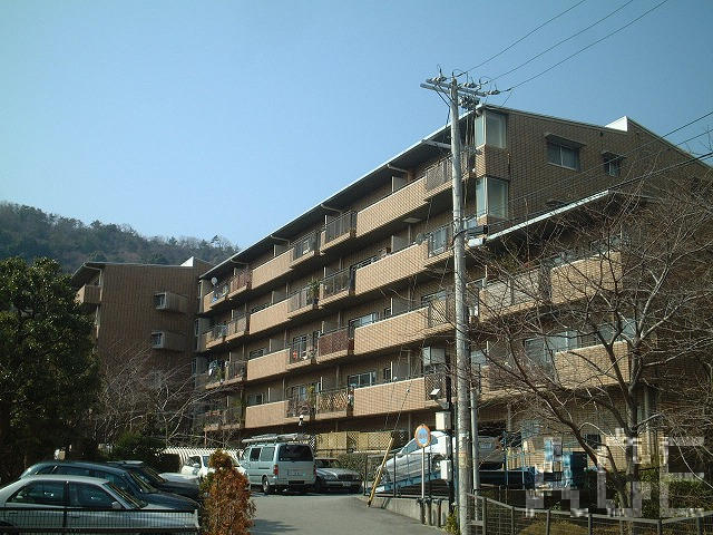 26671画像