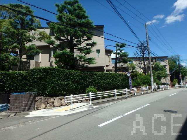 26730画像