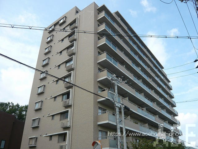 27247画像