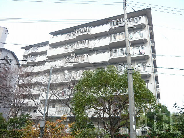 27331画像