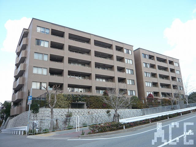 27456画像