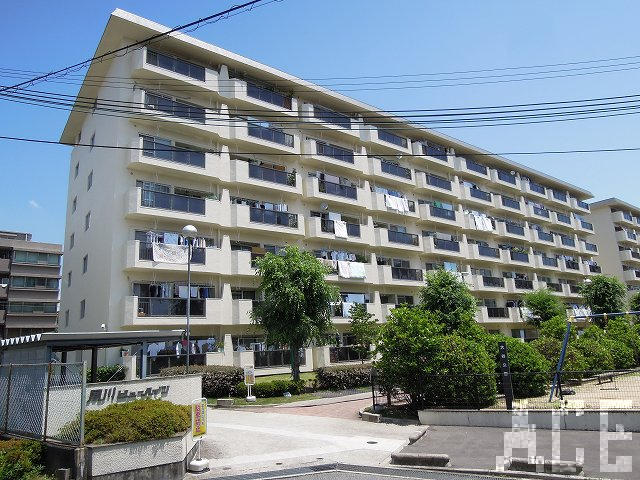 27460画像