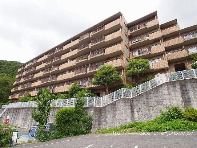 27462画像