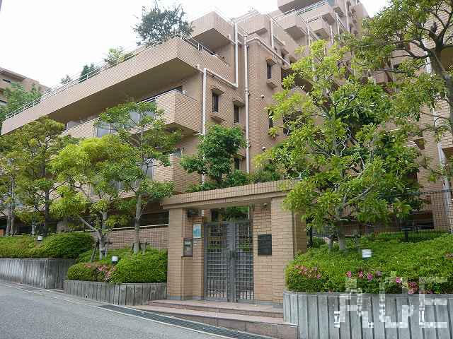 27464画像