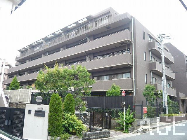 27484画像