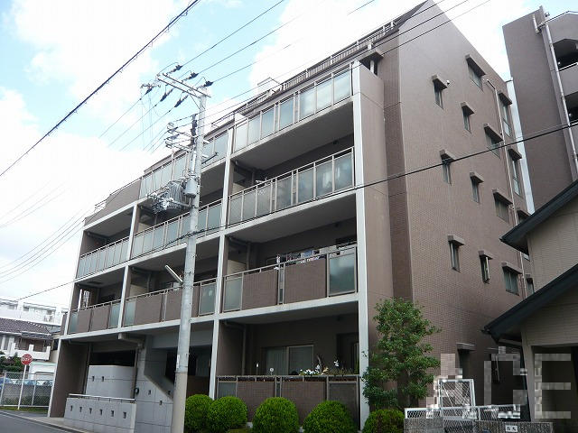 27521画像