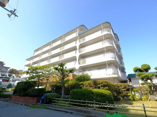 27546画像